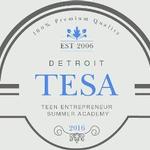 Teen Entrepreneur Summer Academy in Detroit - Final Pitch Competition on August 5, 2016